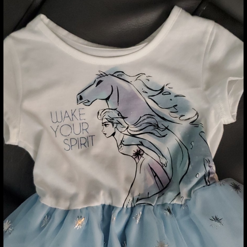 NWT Disney Girls Frozen dress